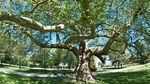 Rentilly : parc